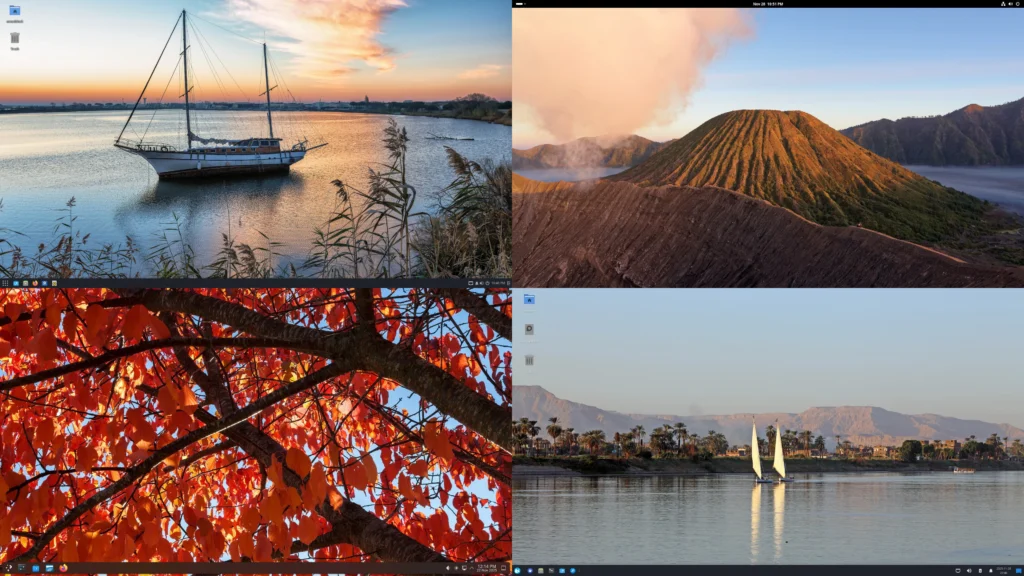 salus os 4.8 desktop